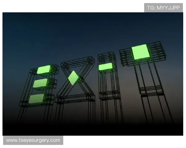 传奇电子香港有限公司：探讨其在香港电子娱乐行业中的竞争策略与差异化发展路径